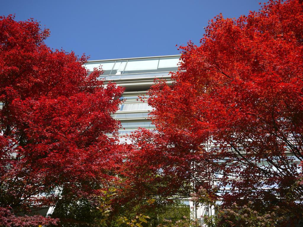Kikusuitei Higashimurayama Exterior photo